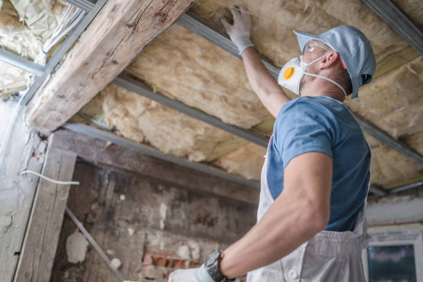 Types of Insulation We Offer in Rio Grande, OH